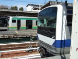 湘南新宿ラインE231系と常磐線E531系 上野駅