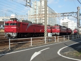 EF81形電気機関車たち 水戸駅