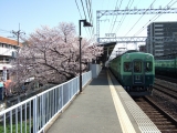 京阪2600系 桜と2600系 土居駅