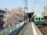 京阪2400系 桜と2400系 土居駅
